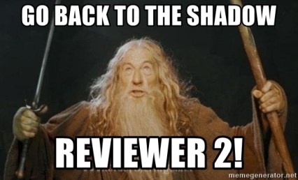 reviewer-2-meme.jpg